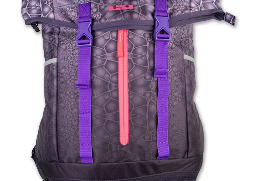 lebron james backpack
