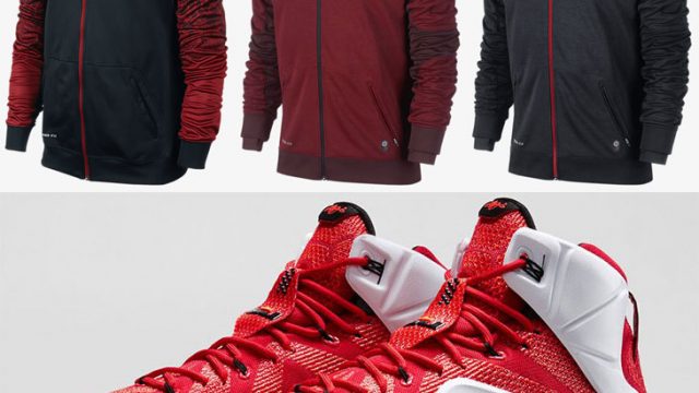 nike-lebron-12-heart-of-a-lion-hoodies