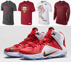 Nike LeBron Shirts to Wear with the Nike LEBRON 12 Heart of a Lion ...