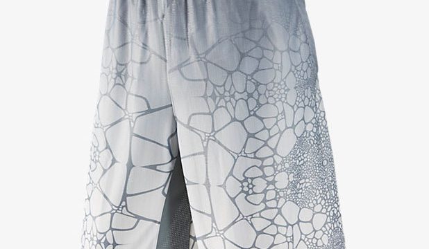 nike-lebron-tamed-shorts-white-grey-front