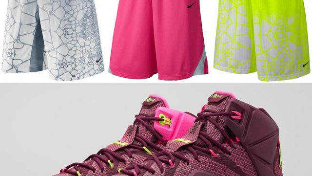 nike-lebron-12-double-helix-shorts