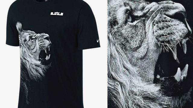 nike-lebron-arch-shirt