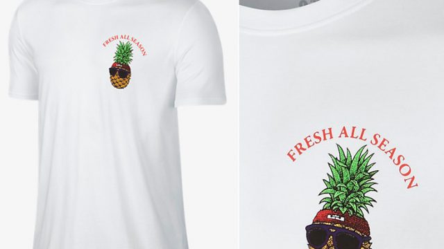 nike-lebron-fresh-all-season-t-shirt