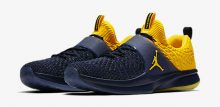 jordan trainer 2 flyknit michigan
