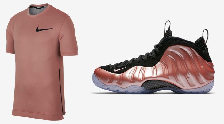 pink rust foamposites